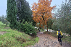 percorso6