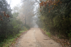 MMonzali_LastraGravel-56